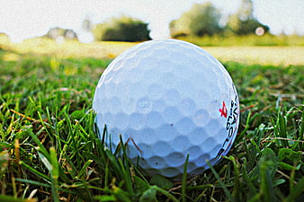 Close-up of white golf ball resting on green grass