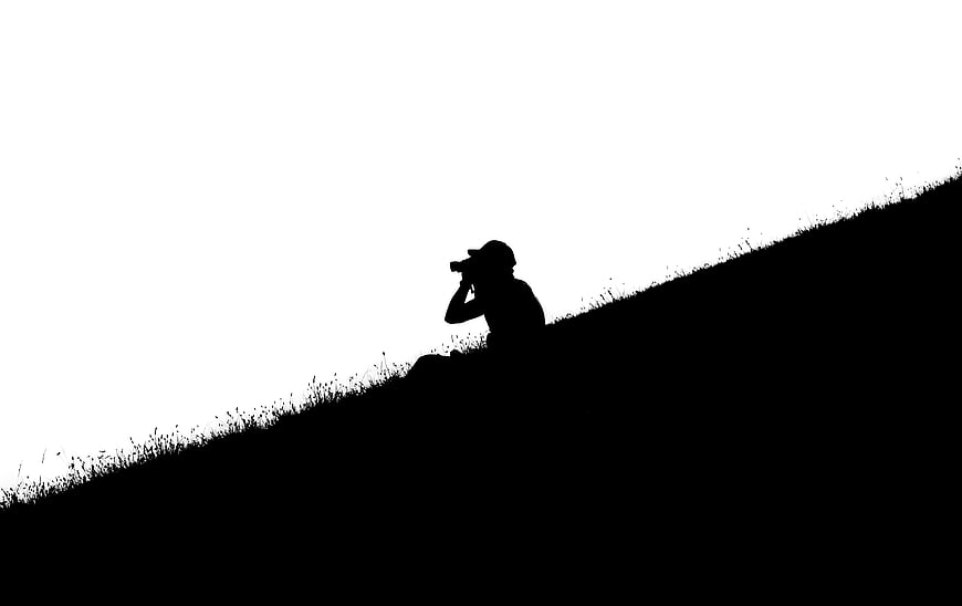 Silhouette of Person Birdwatching on Hillside