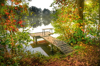 Wooden Jetty on Misty Lake in Autumn Forest