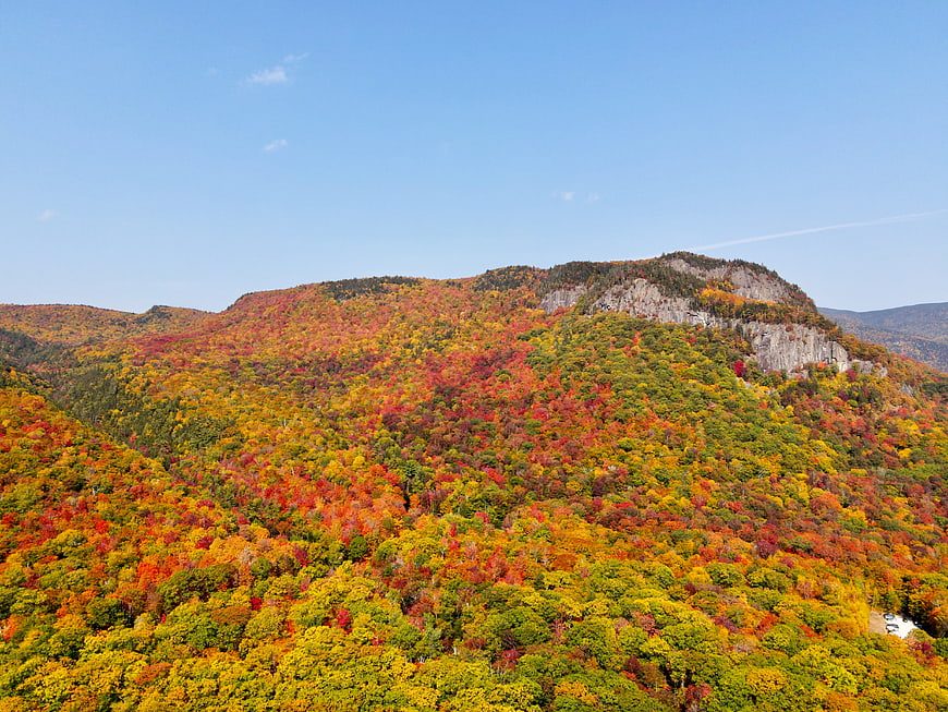Aerial View of Vibrant Autumn Mountain Forest