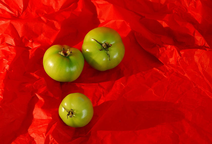 Three Green Tomatoes on Crumpled Red Paper Background
