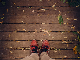 Red sneakers on wooden deck with autumn leaves