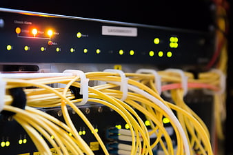 Close-up of yellow ethernet cables in server rack
