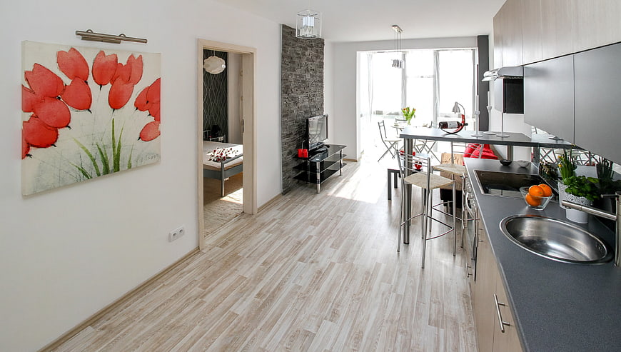 Modern Apartment Interior with Kitchen and Living Room