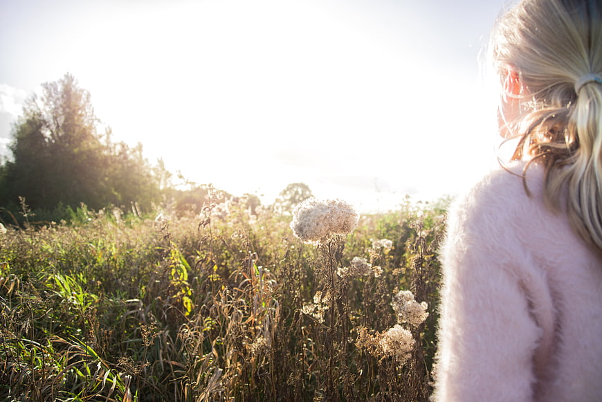 Woman in Pink Sweater Looking at Sunlit Wildflower Field