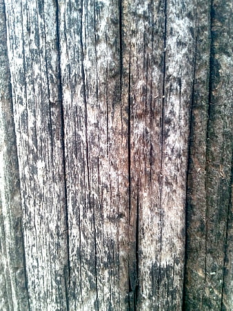 Close-up of weathered old wood texture with vertical grain