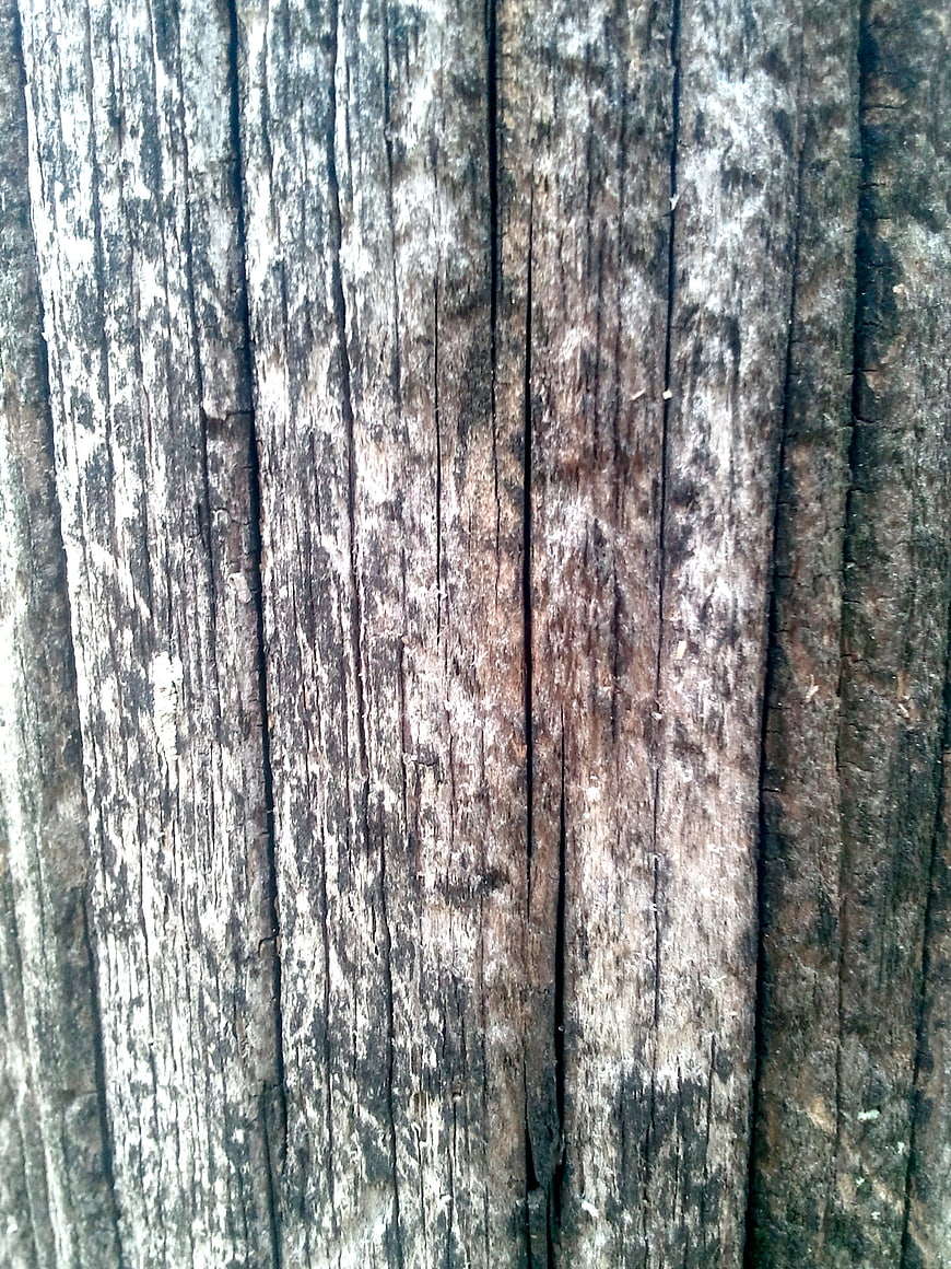 Close-up of weathered old wood texture with vertical grain