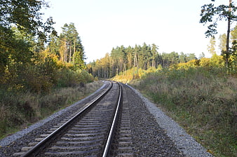 Railway tracks curving through autumn forest landscape