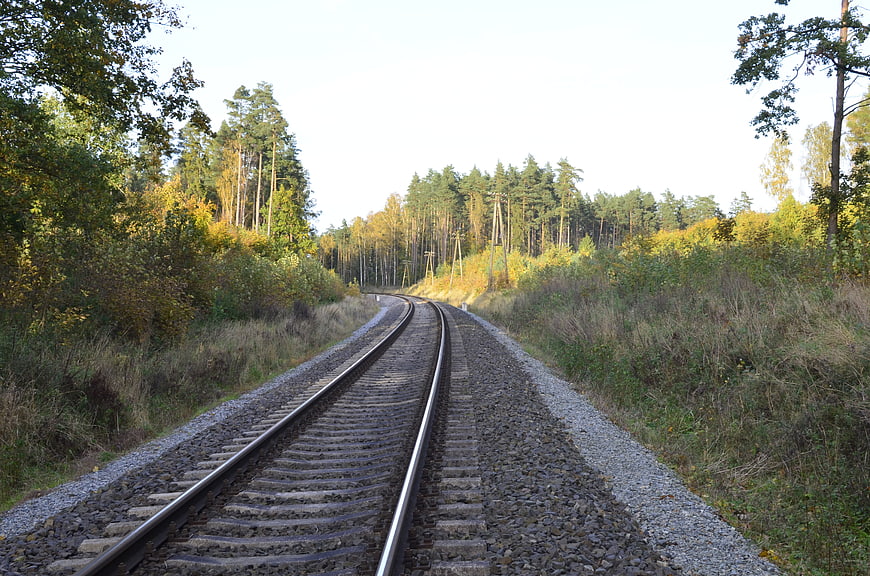 Railway tracks curving through autumn forest landscape