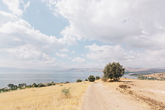Dirt path leading to lake with tree and blue sky