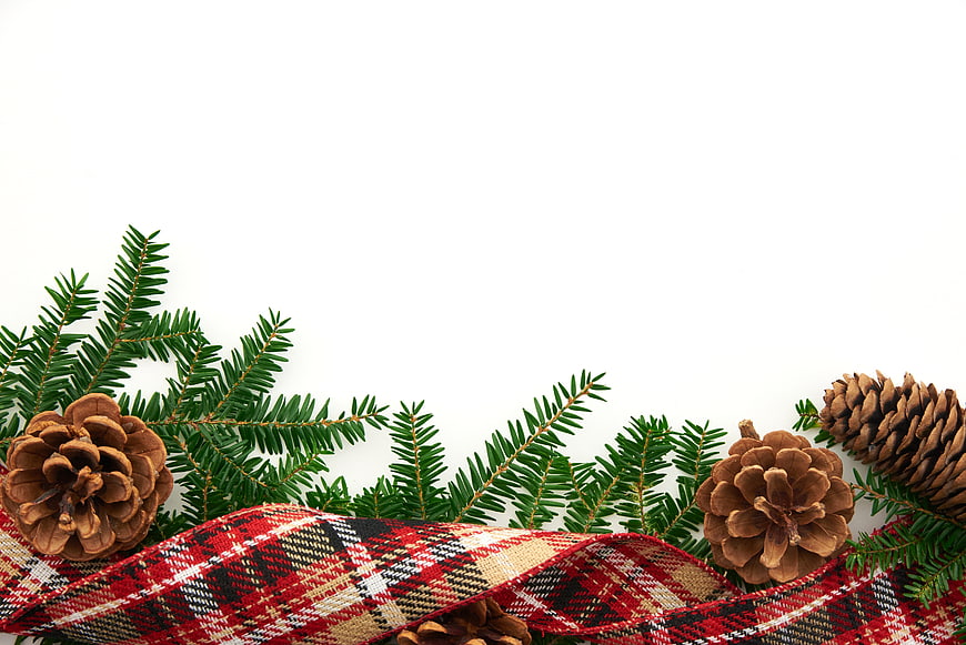 Christmas Pine Branches and Plaid Ribbon Border on White
