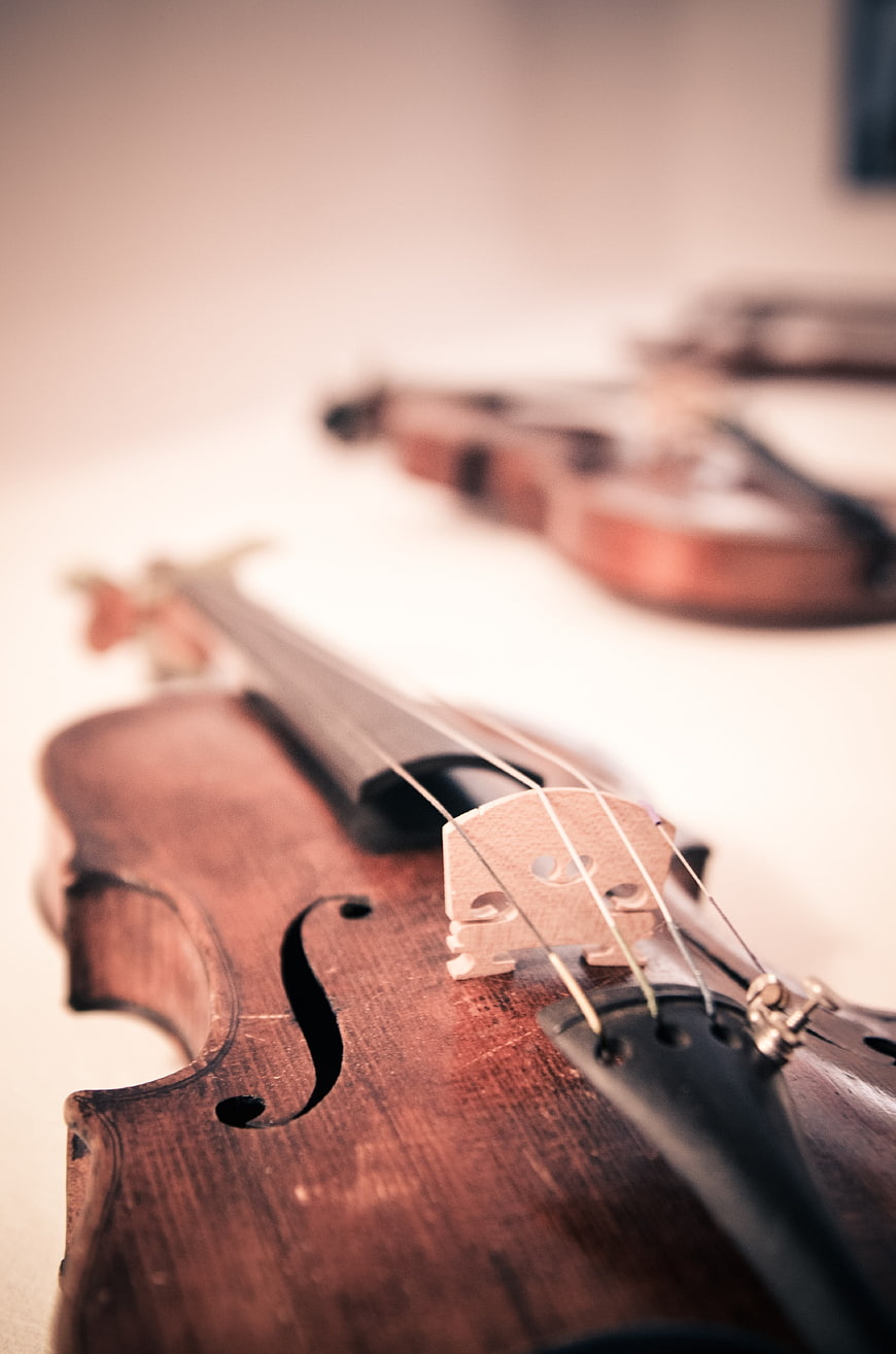 Close-up of vintage violin bridge and strings