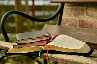 Open Bible and Study Books on Wooden Bench