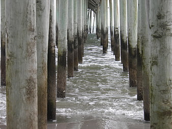 Weathered wooden pier pilings over ocean waves