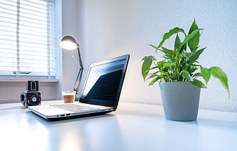 Modern workspace with laptop, coffee, and plant