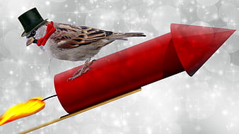 Sparrow in top hat riding red rocket with lit fuse