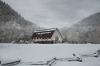 Snowy Winter Barn in Rural Forest Landscape