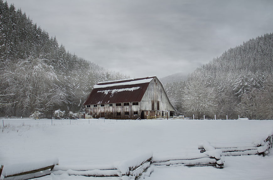 Snowy Winter Barn in Rural Forest Landscape