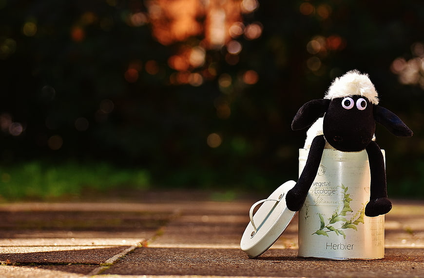 Cute stuffed sheep toy sitting on a tin can outdoors