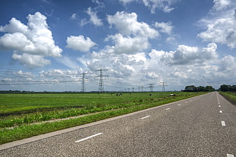 Empty asphalt road through green Dutch countryside with power lines