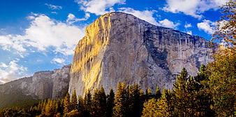 Sunlit granite cliff face in national park with pine trees