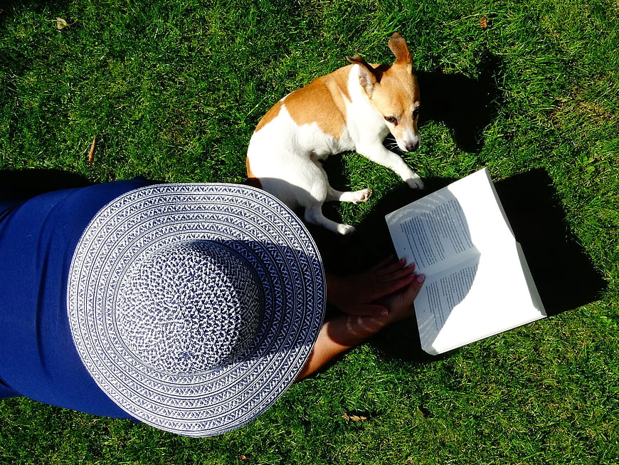 Woman reading book on grass with small dog