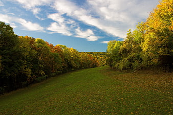 Autumn Landscape with Colorful Trees and Blue Sky