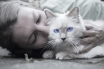 Woman cuddling fluffy white cat with blue eyes