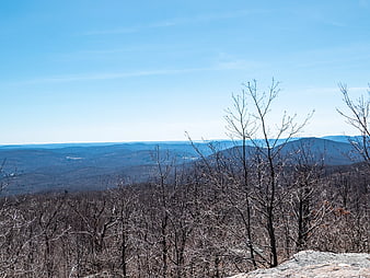 Winter Mountain Landscape with Bare Trees and Blue Sky