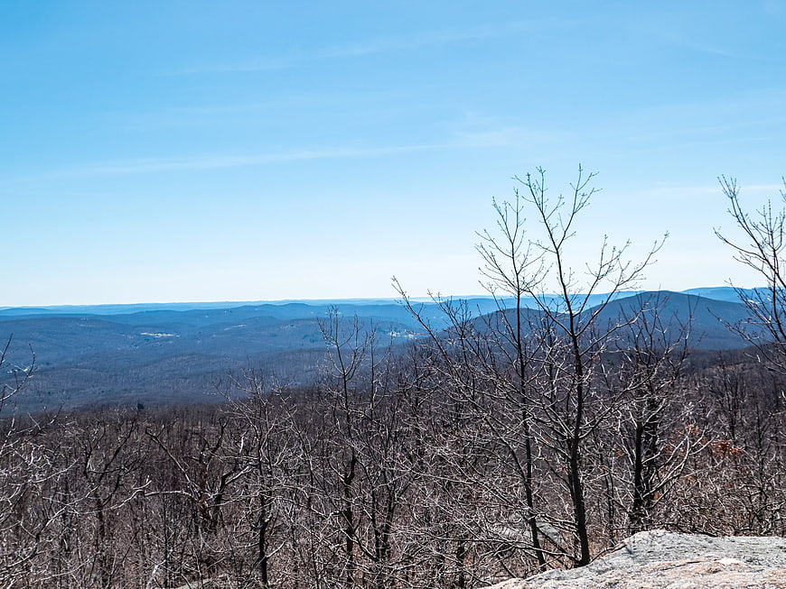 Winter Mountain Landscape with Bare Trees and Blue Sky