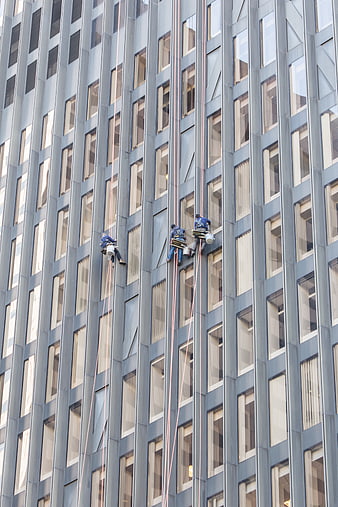 Window cleaners rappelling down modern skyscraper facade