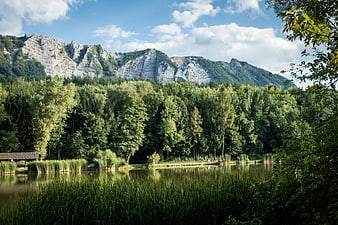 Serene Lake with Mountain Reflection and Lush Forest