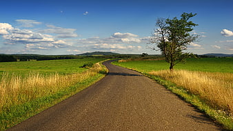 Winding Country Road Through Green Fields Under Blue Sky