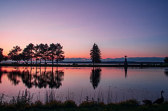 Serene Lake Sunset with Tree Silhouettes and Reflections
