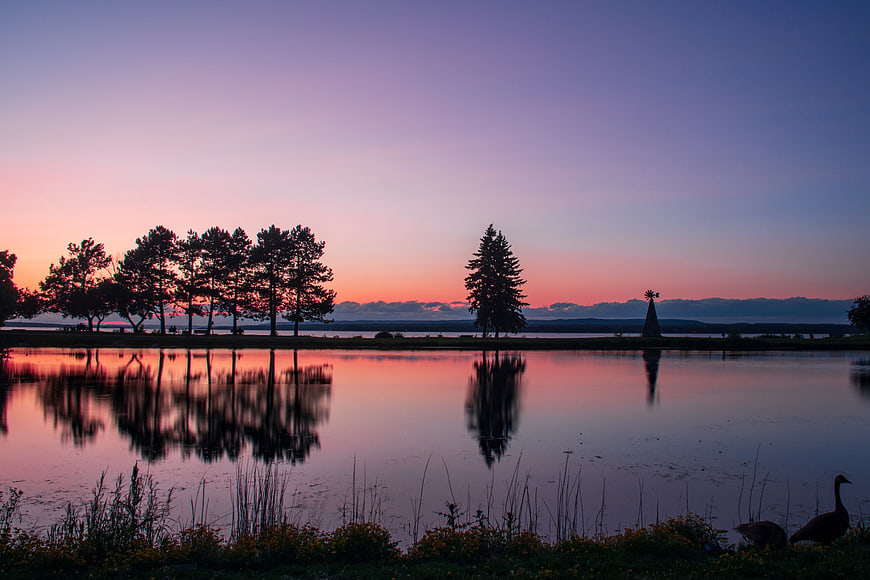 Serene Lake Sunset with Tree Silhouettes and Reflections