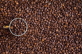 Top View of Coffee Cup Filled with Roasted Beans