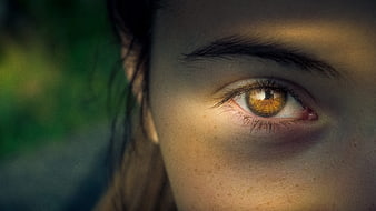 Close-up portrait of a woman's hazel eye with freckles