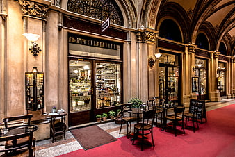 Elegant Vienna Cafe Interior with Arched Ceilings and Red Carpet