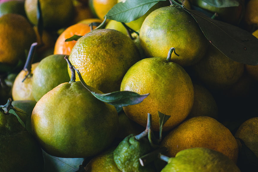 Close-up of fresh greenish tangerines with leaves