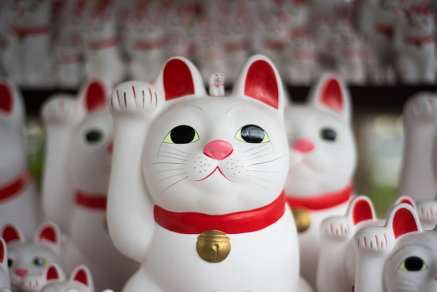 Close-up of White Maneki Neko Lucky Cat Figurine