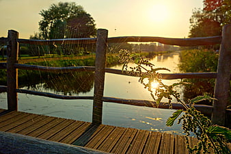 Sunlit spider web on wooden bridge railing at sunset