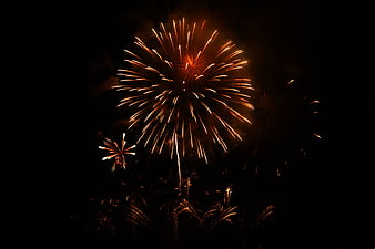 Golden Fireworks Bursting in Night Sky