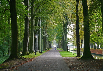 Tree-lined park promenade with moat and distant figures