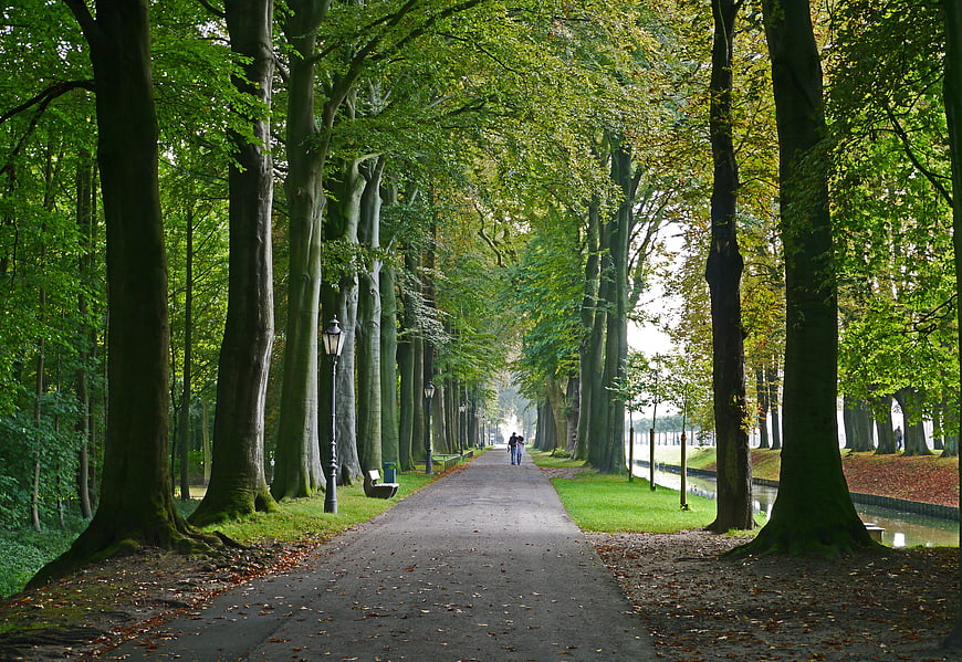 Tree-lined park promenade with moat and distant figures