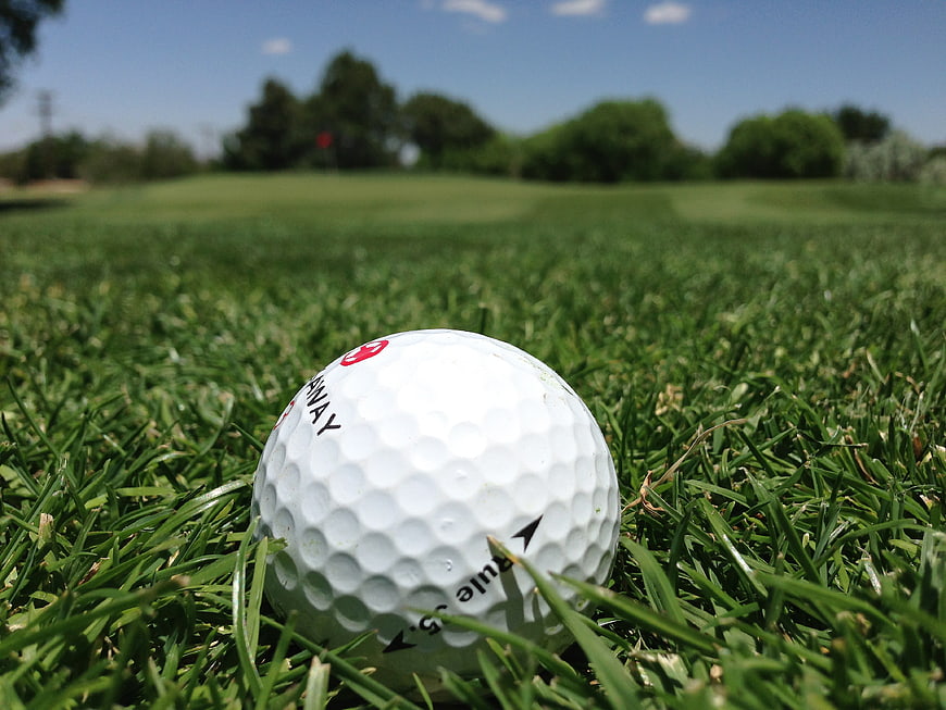 Close-up of a white golf ball resting on a green golf course
