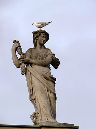 Seagull perched on classical stone statue head against sky