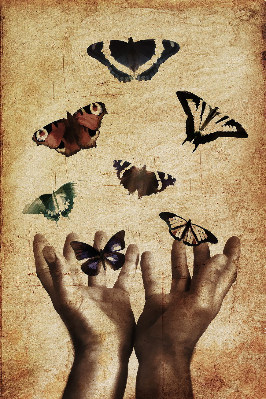 Vintage Hands Releasing Butterflies on Textured Background