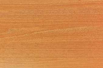 Smooth Light Wood Texture Background