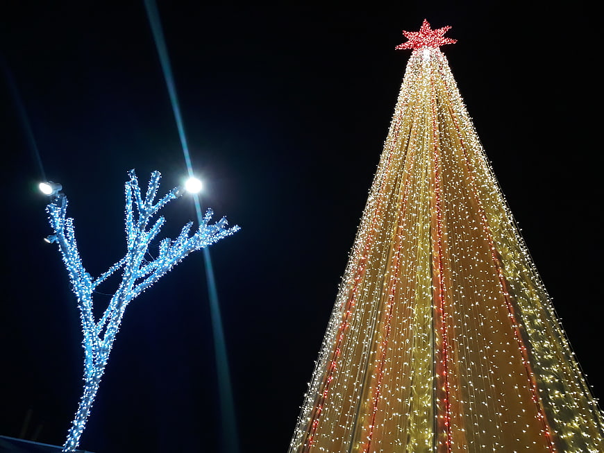 Giant Christmas Tree with Star and Blue Lights at Night