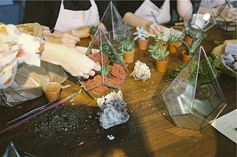 Hands arranging succulents in geometric glass terrariums